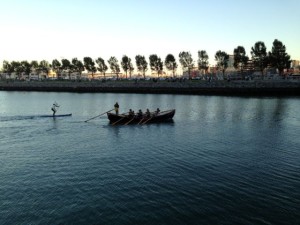 Panda chasing Renegade