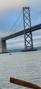 WhatsApp Image 2025-10-01 at 12.07.32